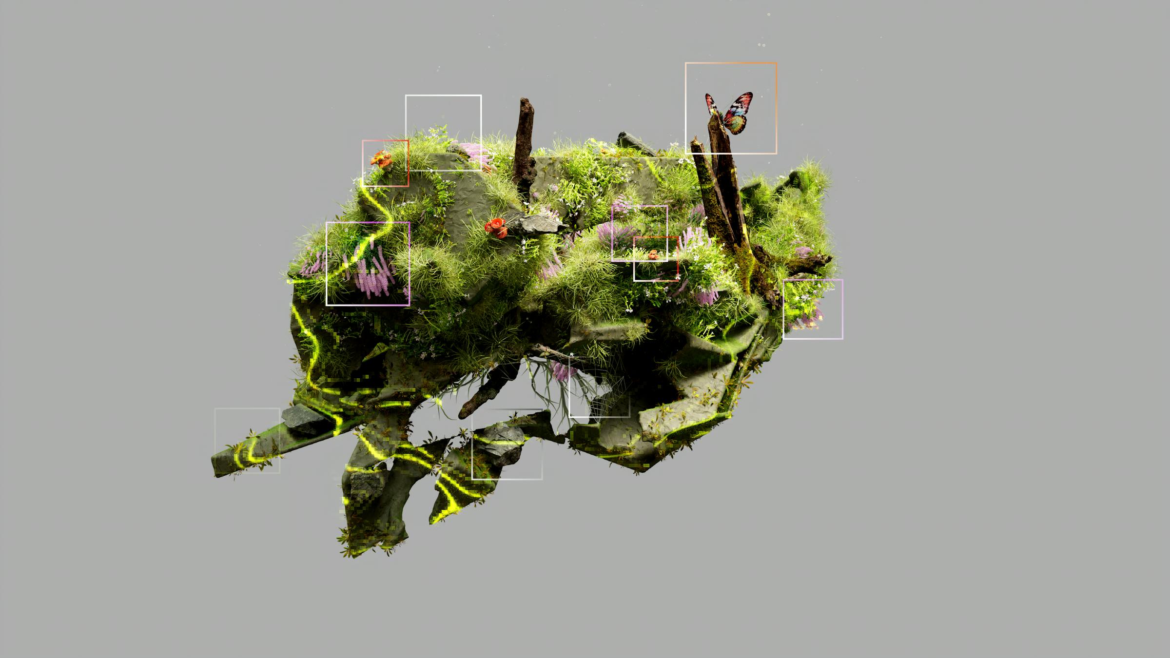 Dynamic Environment